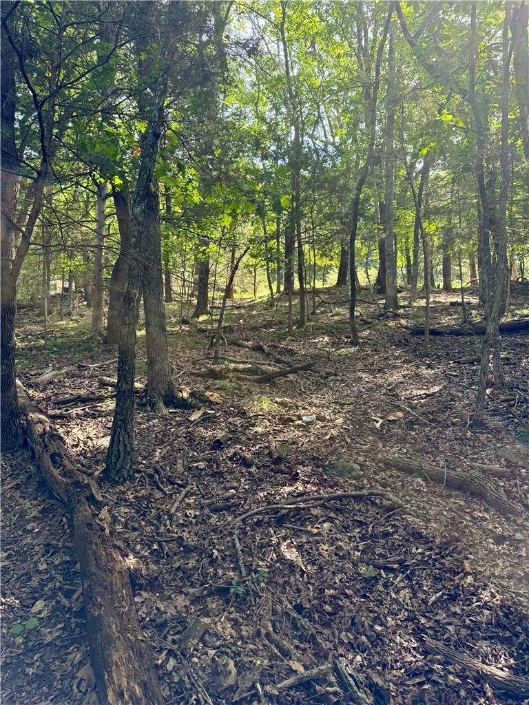 Image 2: Wooded lot