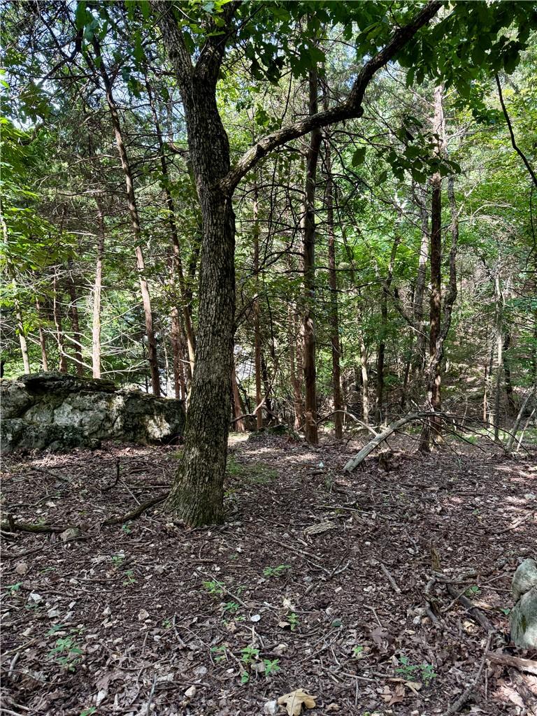 Image 3: Wooded lot featuring mature trees and natural rock