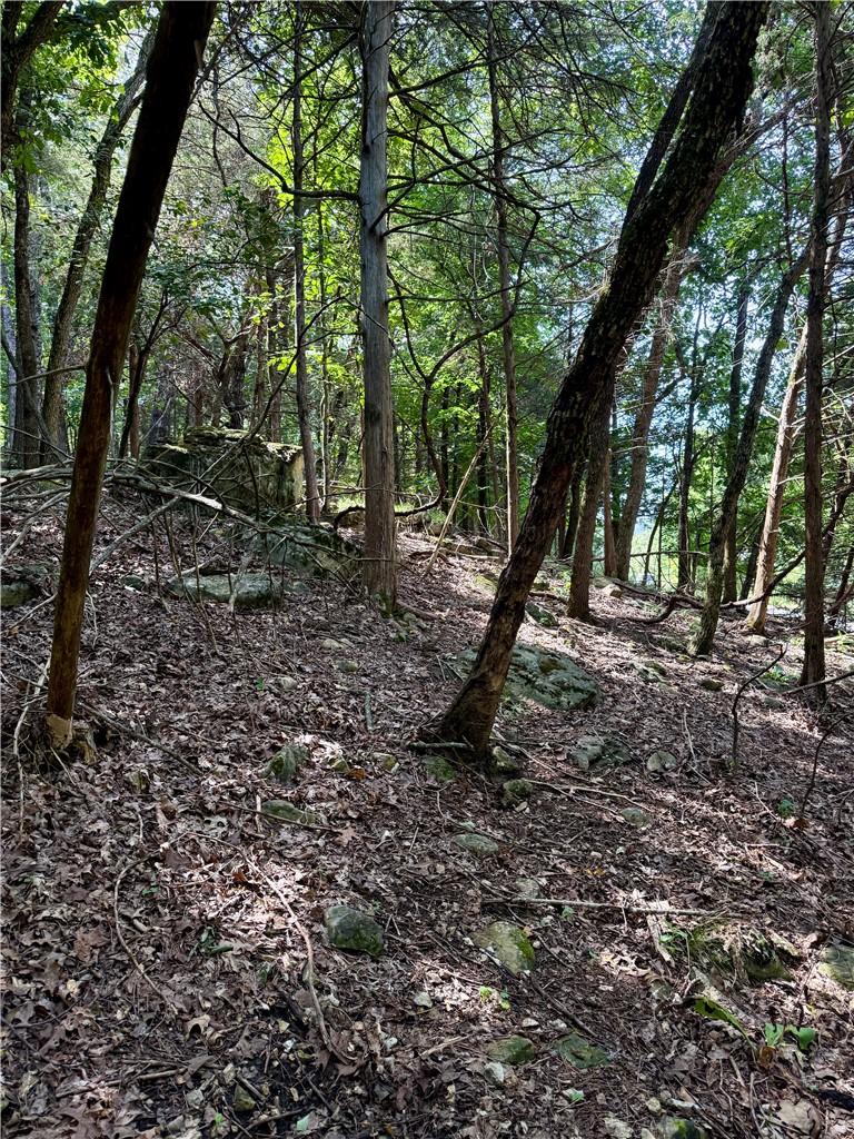 Image 4: Wooded lot