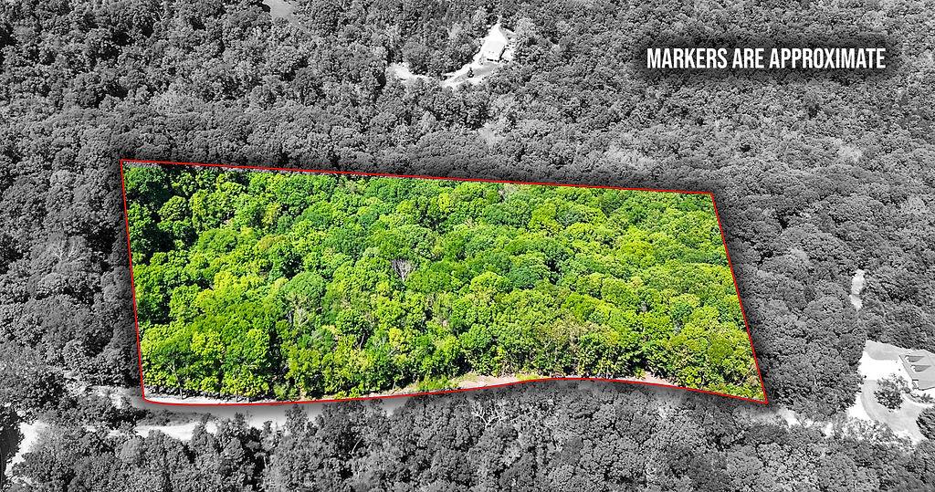 Image 1: Expansive forested land parcel outlined in red