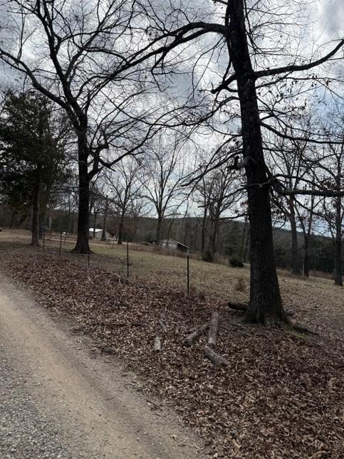 Image 4: View of dirt / gravel road