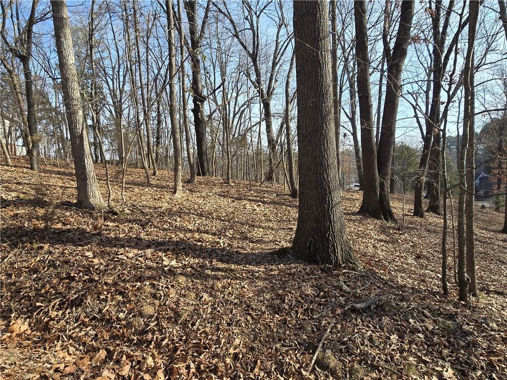 Image 1: View of nature