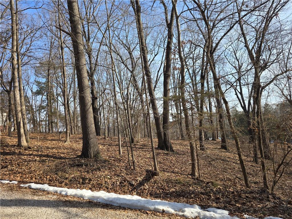 Image 2: View of undeveloped land