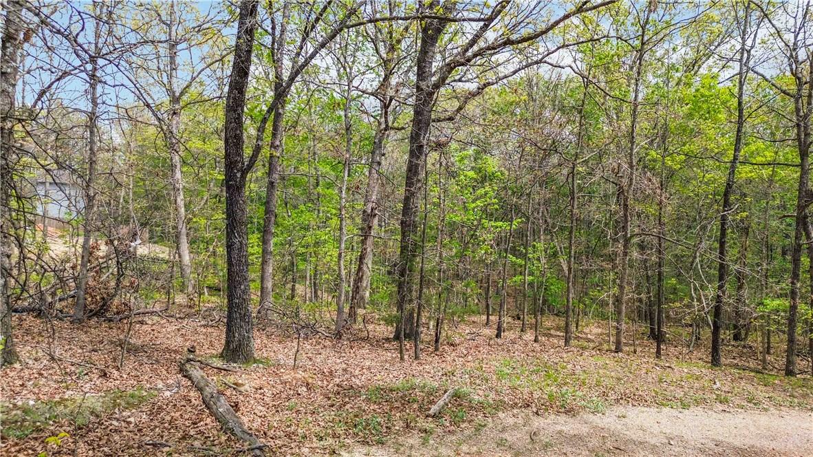 Image 2: View of tree filled area