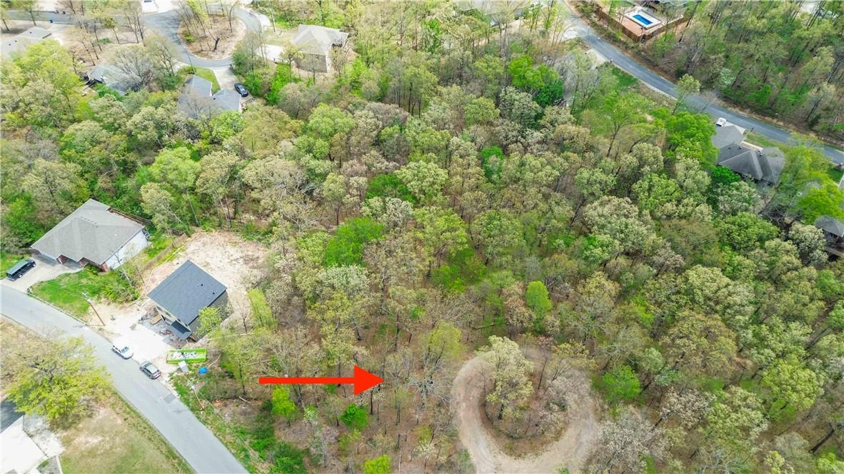 Image 4: Heavily wooded lot with varied tree canopy