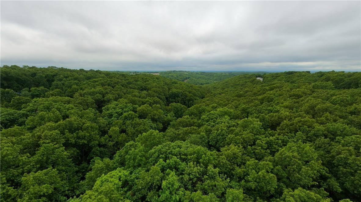 Image 3: Expansive wooded acreage featuring dense tree cove
