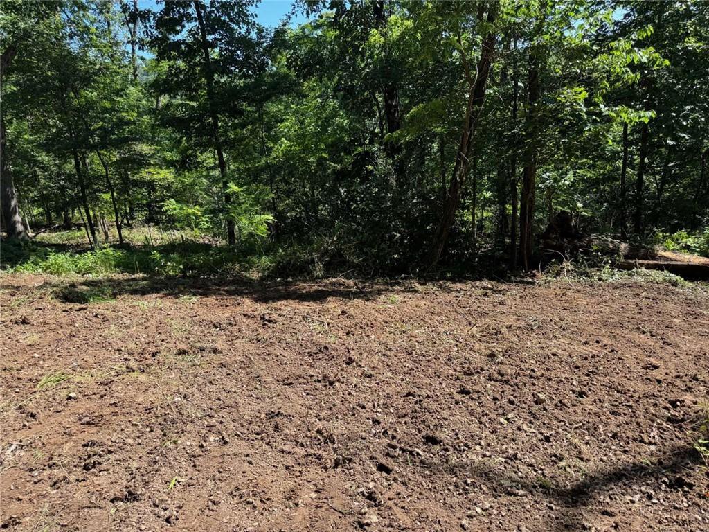 Image 2: Cleared land offering a wooded perimeter