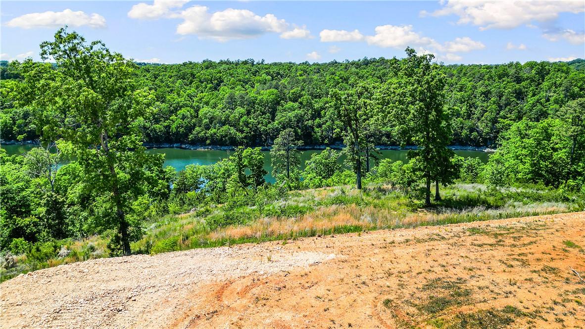 Image 3: Lake view from build site
