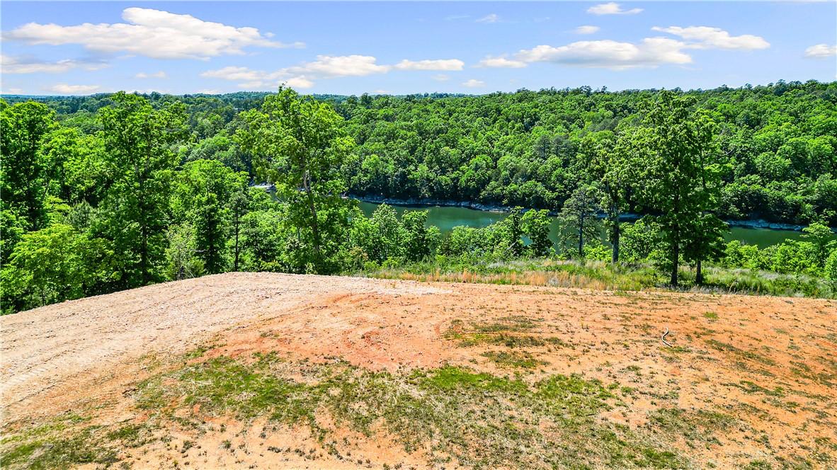 Image 4: Lake view from build site