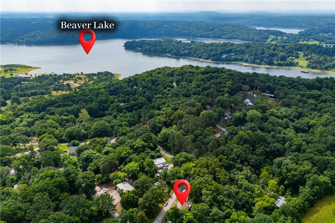 Image 2: Aerial perspective showcasing Beaver Lake and surr