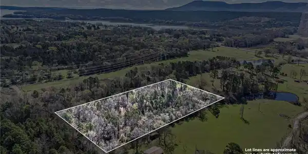 Image 2: Wooded lot within a natural landscape featuring di