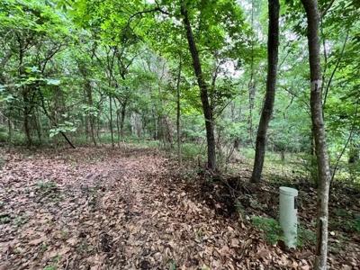 Lot 4, Block 12 Canova Place