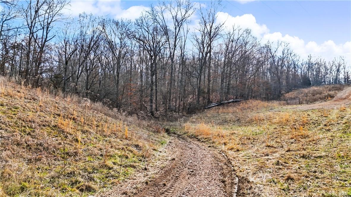 Image 2: Front property view