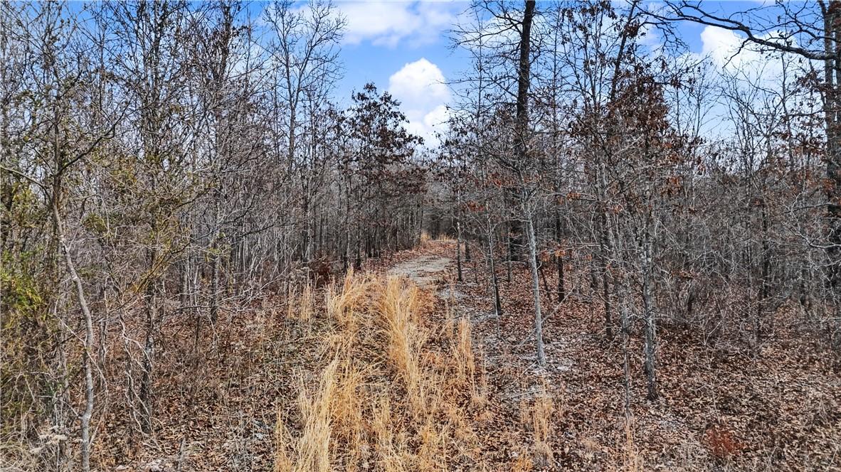Image 3: Front property view of old road