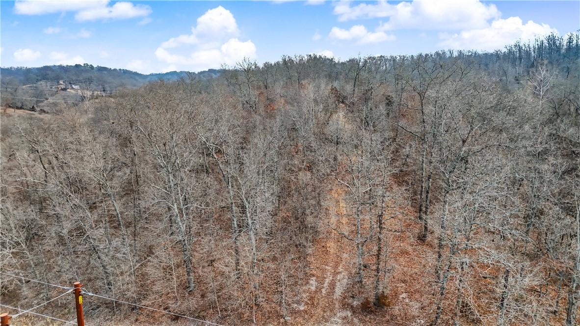Image 4: Aerial view of front of property