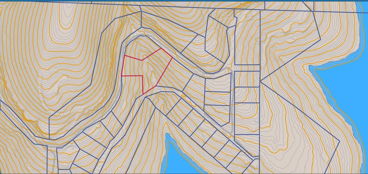Image 1: Plat Map. Illustrating the boundaries of the prope