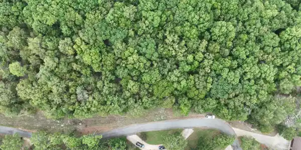 425 Rainbow Road