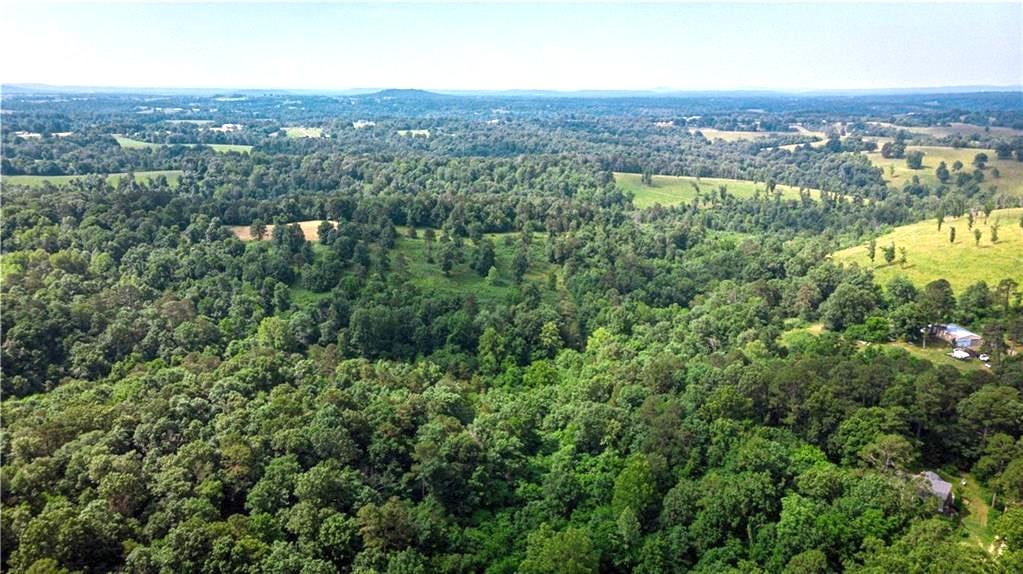 Image 3: Expansive wooded acreage with a cleared pasture