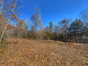 136 Branch Lane