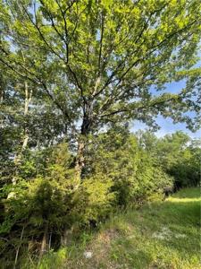 000 Narrows Drive