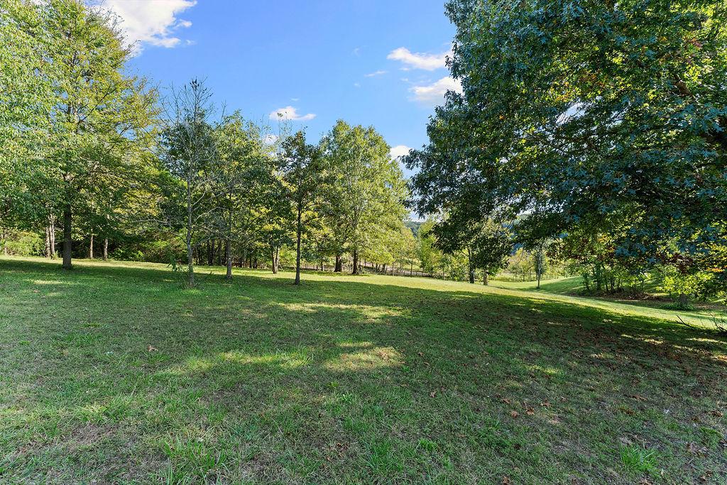 Image 4: Expansive green lawn surrounded by mature trees, f
