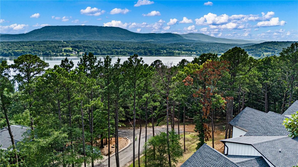 Image 2: Expansive natural setting featuring a prominent bo