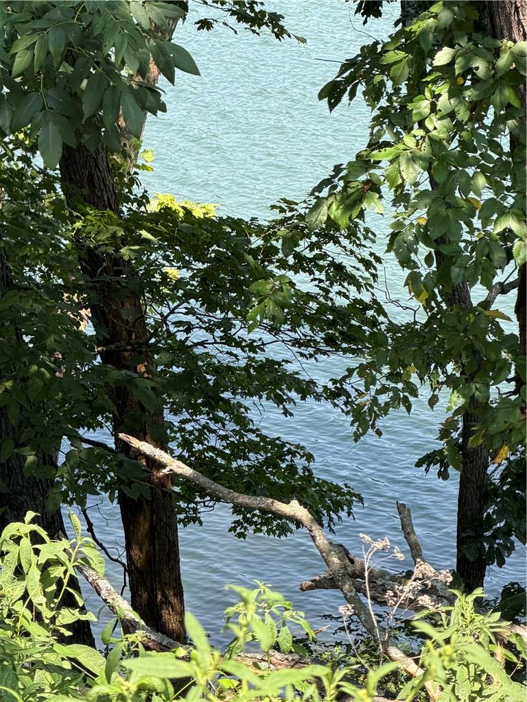 Image 2: Waterfront setting framed by mature trees and lush