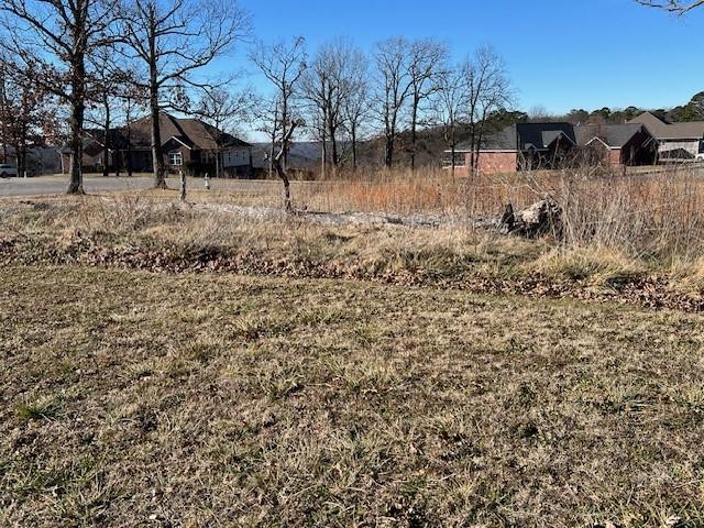 Image 4: View of yard