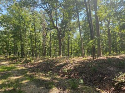 11413 Long Branch Road