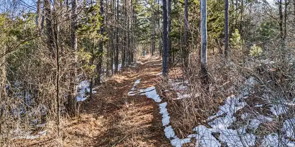 Image 2: View of nature