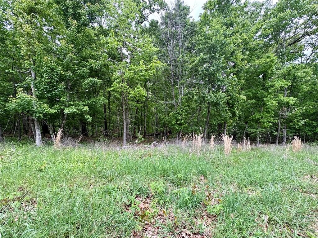 Image 2: Wooded lot featuring mature trees and natural vege