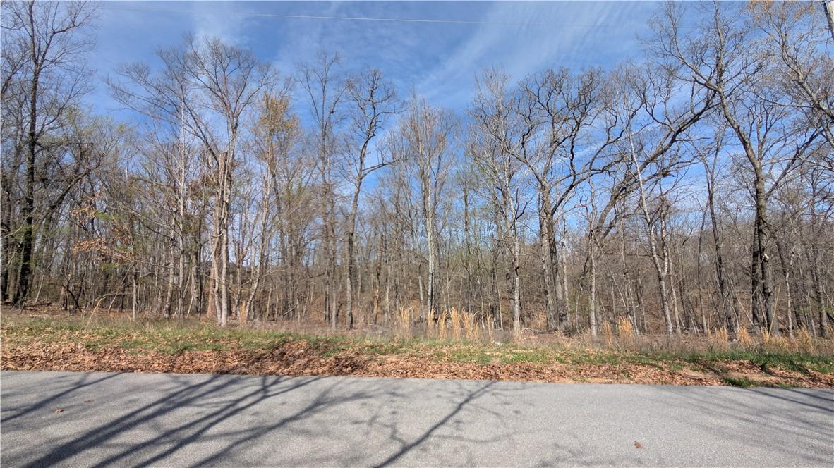 Image 3: Wooded lot featuring mature deciduous trees and a