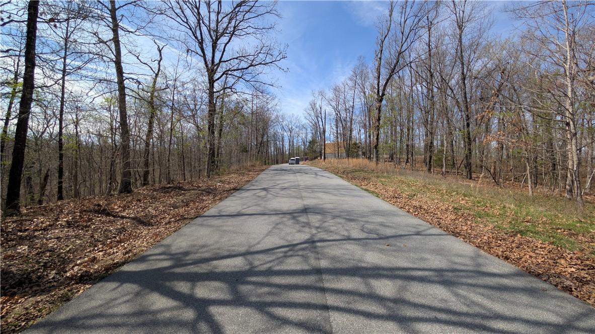 Image 4: Paved road traversing wooded terrain