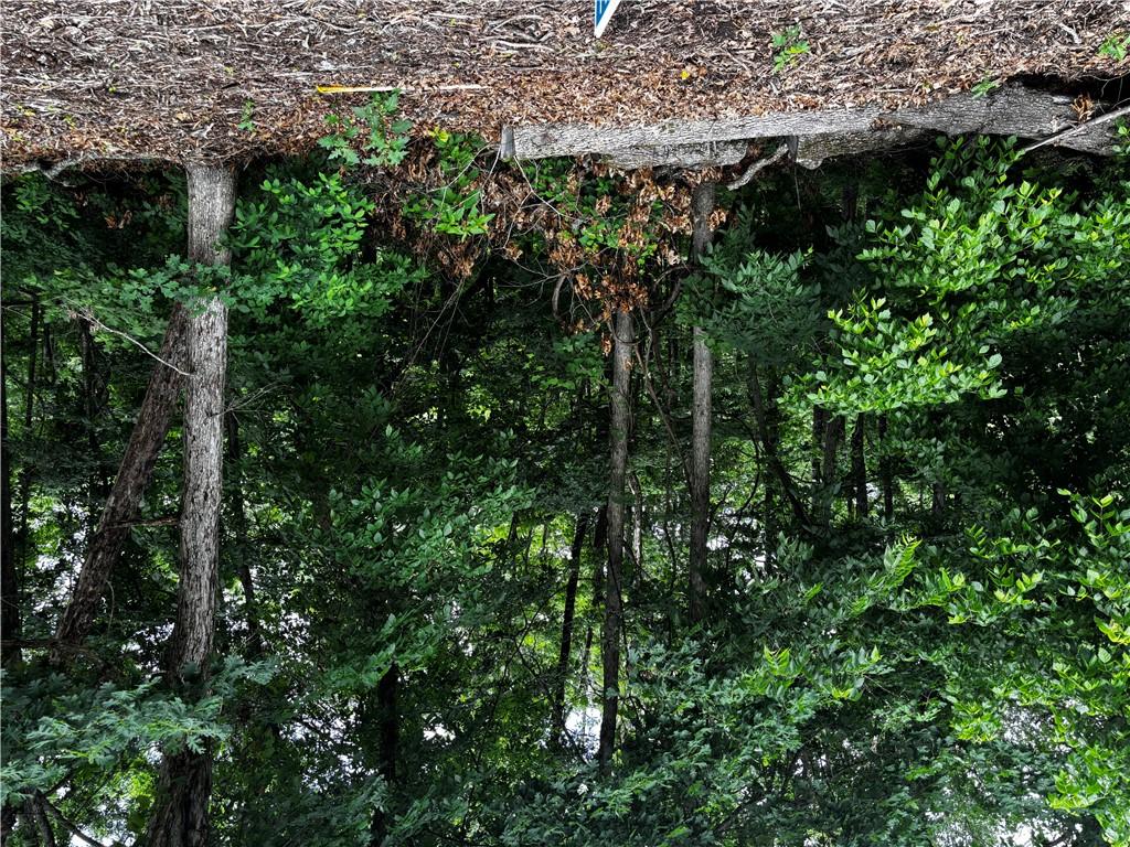 Image 3: Wooded lot with mature trees and natural foliage