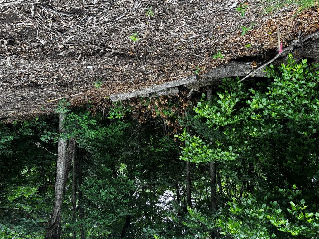 Image 4: Wooded lot featuring mature trees and natural grou