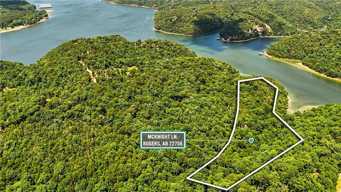 Image 2: Aerial perspective showcasing a forested land parc