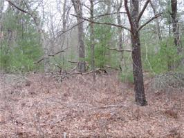 Lot 10 W Des Moines Lake Rd.