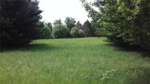 Lot 8, 18th Green Addition, Kilkare Rd