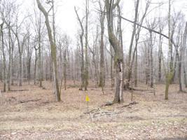 Lot 8 197th Avenue
