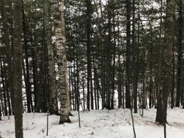 0 Lot 2 Pine Point Road