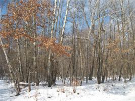 Lots 58 & 59 Woods Avenue
