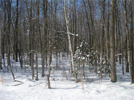 Lot #20 Allison Way