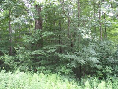 LOT #100 Woods Avenue
