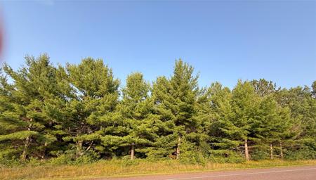 TBD County Highway F