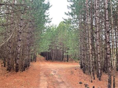 XXX Hay Creek Boulevard