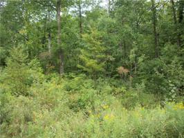 Lot 13 E Lakeshore Drive