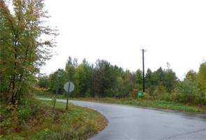 Lots 1-5 Sand Lake & Runzel Road