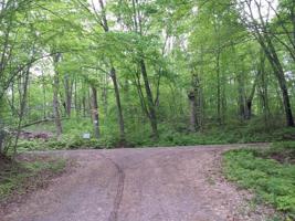 0 Wolf Island Road
