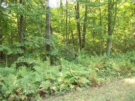 Lot 28 Woods Avenue