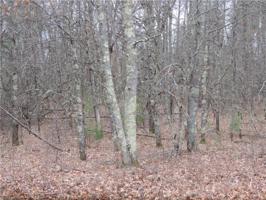 Lot 8 W Des Moines Lake Rd.